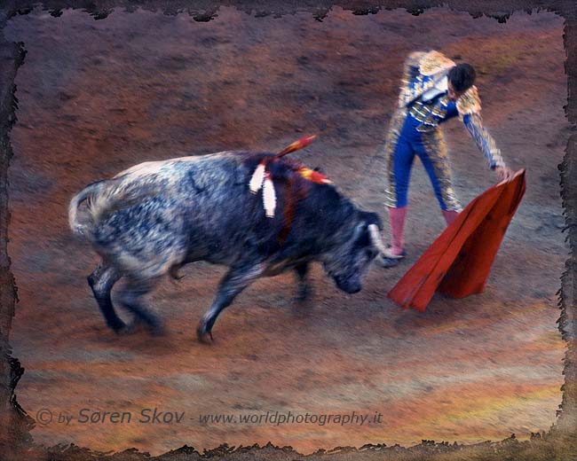 bullfighter 1